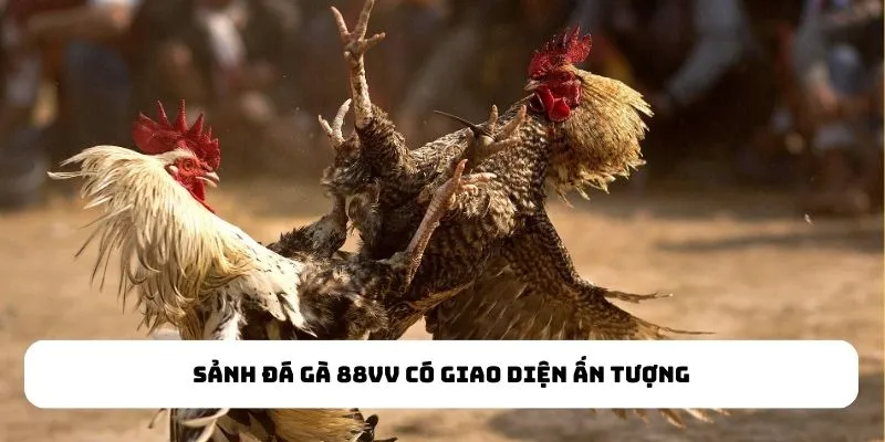 Sảnh Đá Gà có giao diện ấn tượng